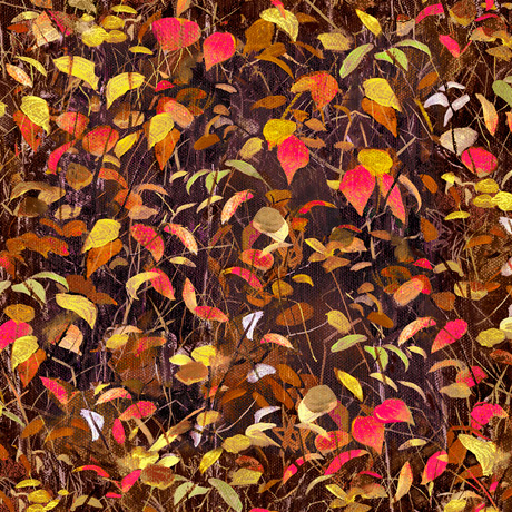 MINKY PRINTS             